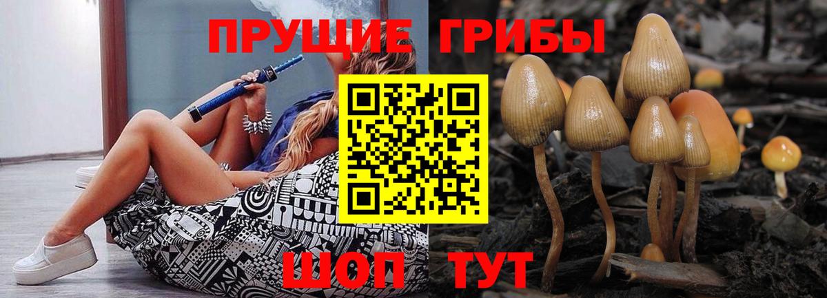 Псилоцибиновые грибы мицелий Клин